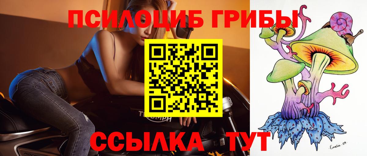 Псилоцибиновые грибы Psilocybine cubensis  Вход с VPN  Туймазы 